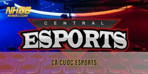 cá cược esports