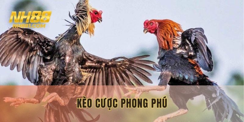 Đa dạng kèo cược